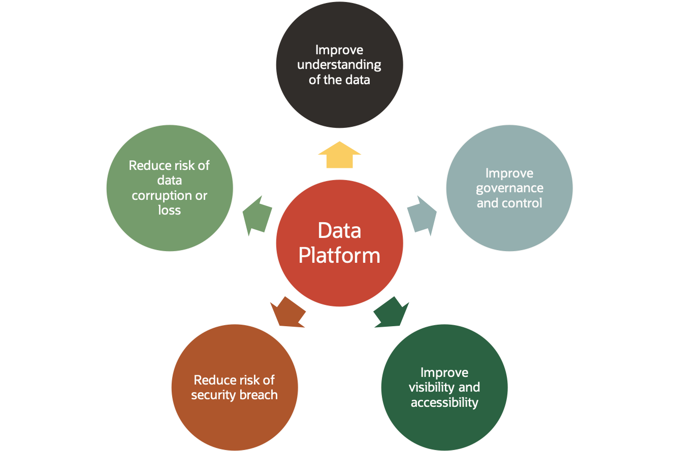 Strategic Data Platform Drivers
